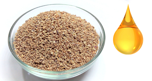 ajwain oil uses