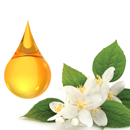 jasmine essential oil uses and benefits