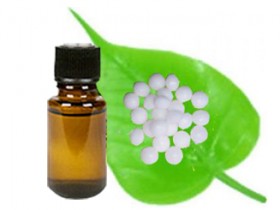 white camphor oil