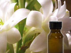 Tuberose oil