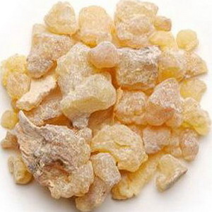 Frankincense Essential Oil