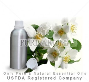 Jasmine oil