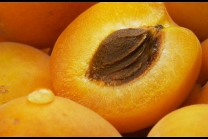 Apricot Oil